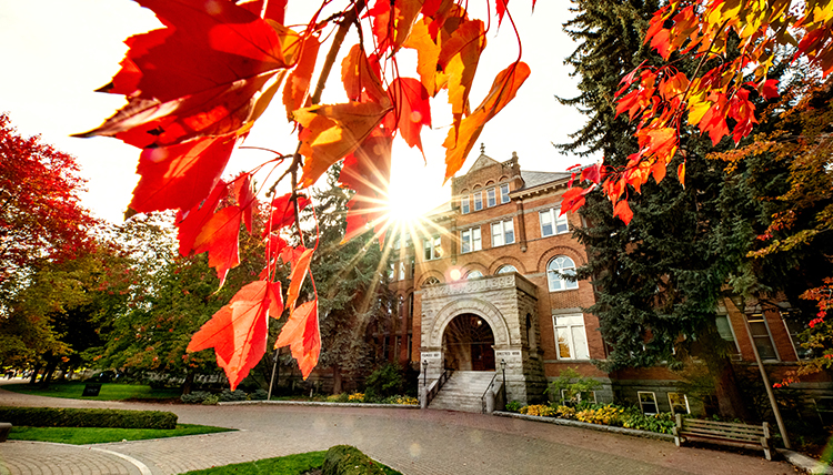 sun shining through fall leaves on College Hall