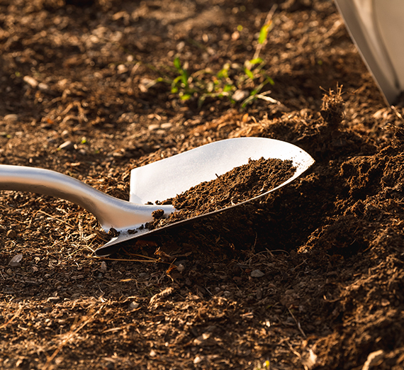 a shovel in the dirt