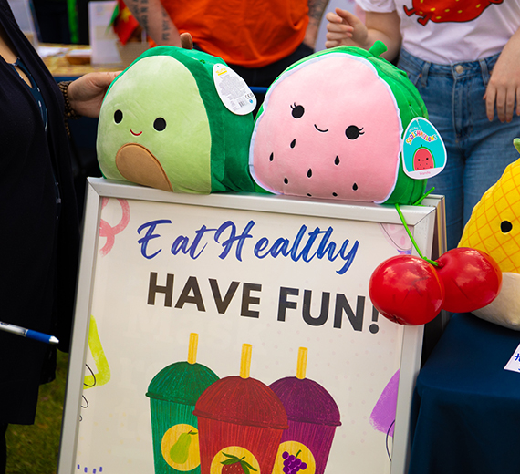 Two squishmallows are perched above a sign that reads "Eat Healthy, have fun" 