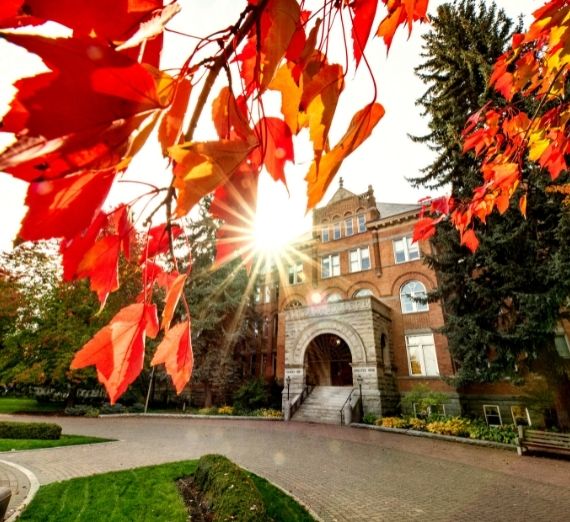 At the top of the photo, there are red fall leaves on a tree branch. Beneath it, College Hall is seen. Between College Hall and the red leaves is the bright sun.