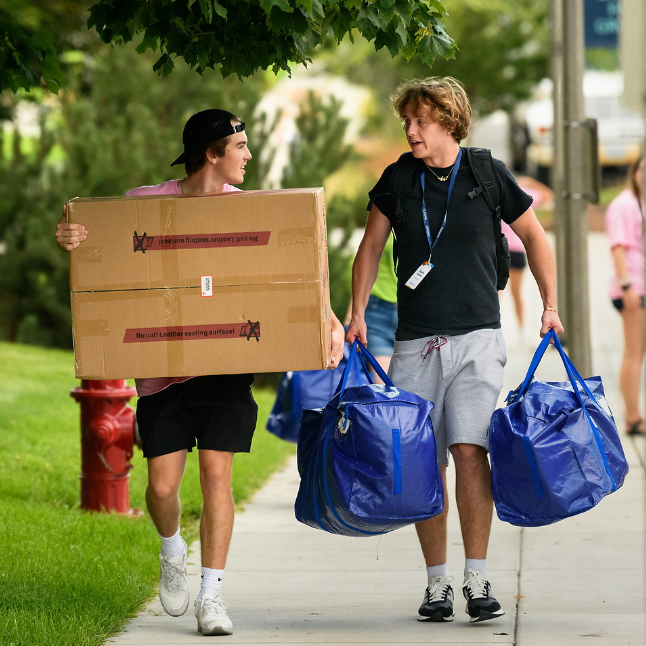 Two young men are walking down a concrete pathway while moving in to dorms. The young man on the left is wearing a pink tee shirt, black shorts, backwards black baseball hat, and white shoes. He is also carrying a large cardboard box with red tape on the sides. The young man on the right is wearing a black tee shirt, grey shorts, and black shoes while carrying two large blue duffel bags. There are people in pink shirts in the background along with grass to the left and a fire hydrant on the grass. A tree branch hangs over the two men's heads. 