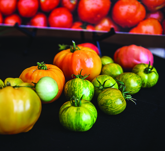 A pile of heirloom tomatoes sit on a black tablecloth.