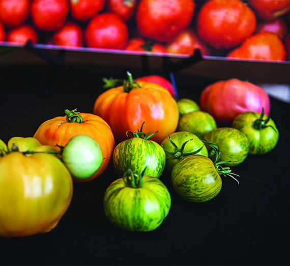 A pile of heirloom tomatoes sit on a black tablecloth. 