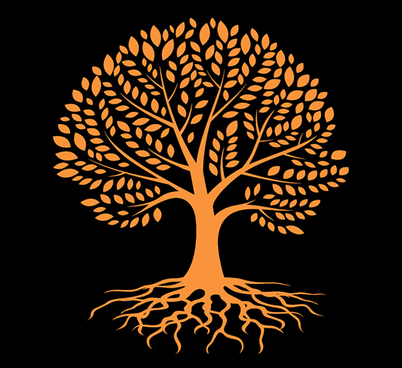 black background with orange tree roots graphic