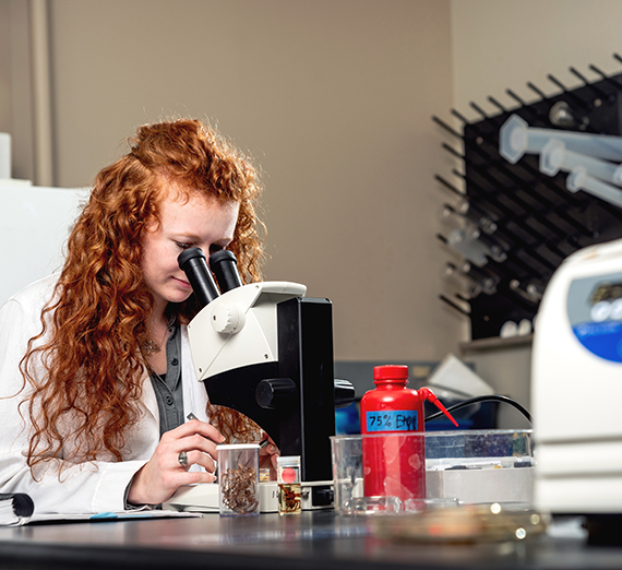 Science student looks through a microscope.