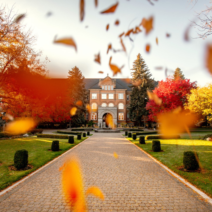 A long brick pathway extends the length of the photograph. This path leads up to a statue of St. Ignatius overlooking a reflection pool. In the background is the front of College Hall, a large red brick building with a concrete entry way with stained glass double doors. In the foreground, there are red and orange leaves falling in front of the camera. It is fall and the colors of the treees in the photo have changed color for the fall season.