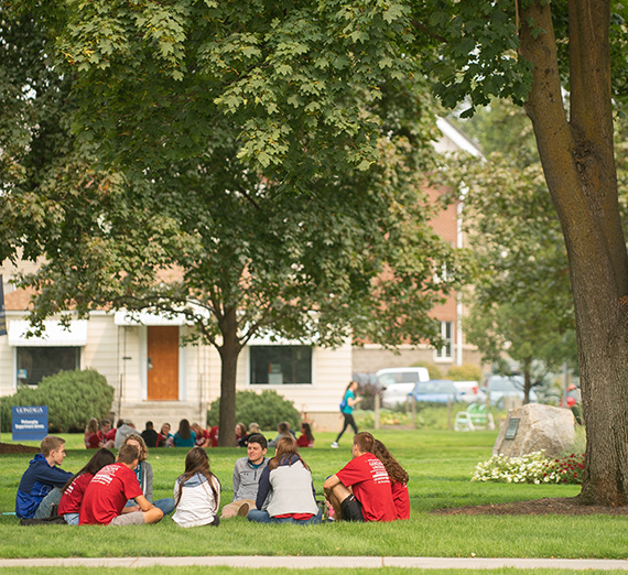 A group of students sits in a circle on the grass, under a tree. 