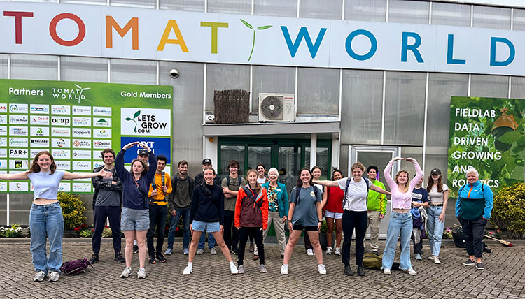 tomatoworld
