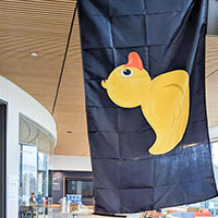 duck flag