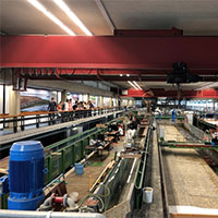 Students touring TU Delft Hydraulics lab.