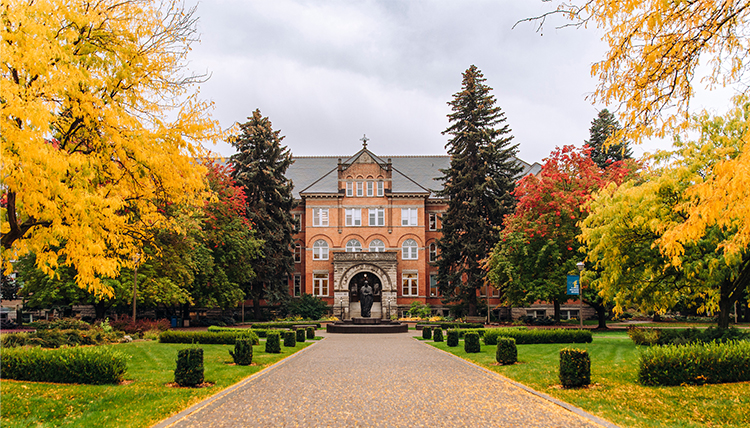 gonzaga college hall pathway in fall