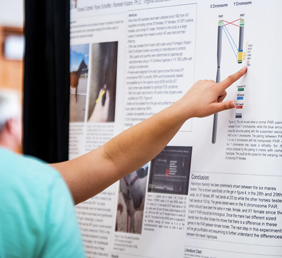 close up of a person pointing at a chart on a wall.