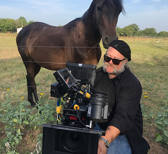 horse looks over shoulder of camera operator