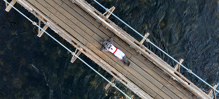 Spike laying on a bridge over water.