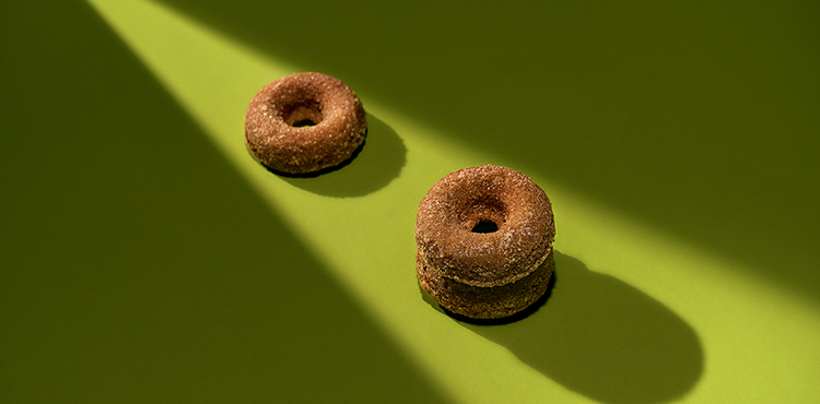 Apple cider donuts on a green background.