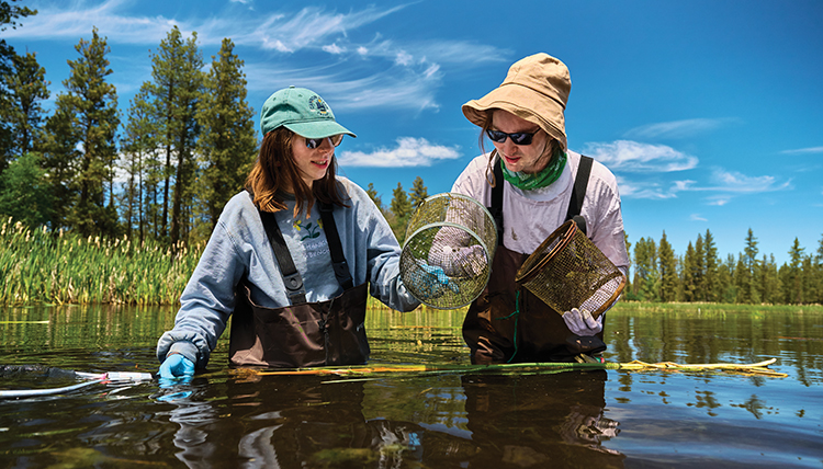 Students doing research.