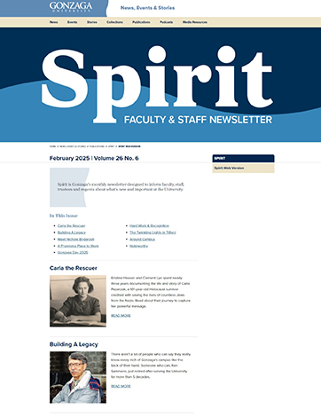 Screenshot of Spirit website