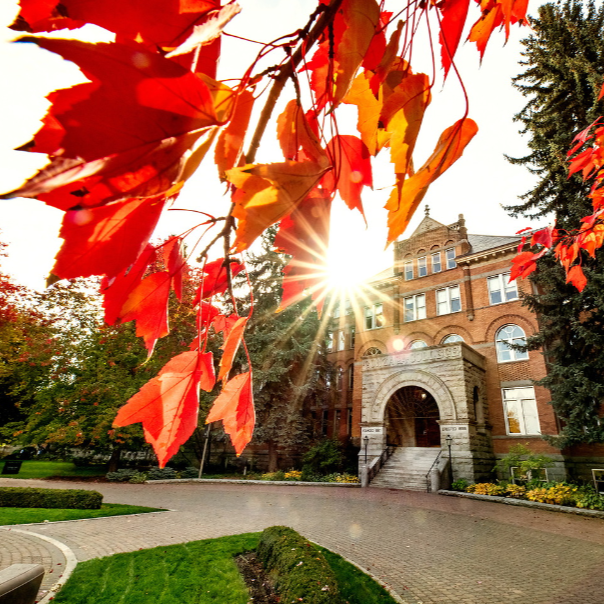 Red leaves hanging from a tree in the fall in front of Gonzaga University's College Hall entrance.