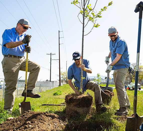 Three people digging into the ground to plant a tree.