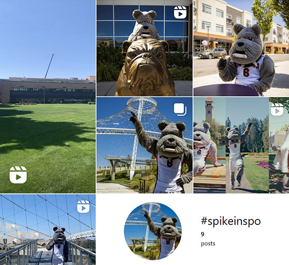 A screenshot of #spikeinspo posts on Instagram