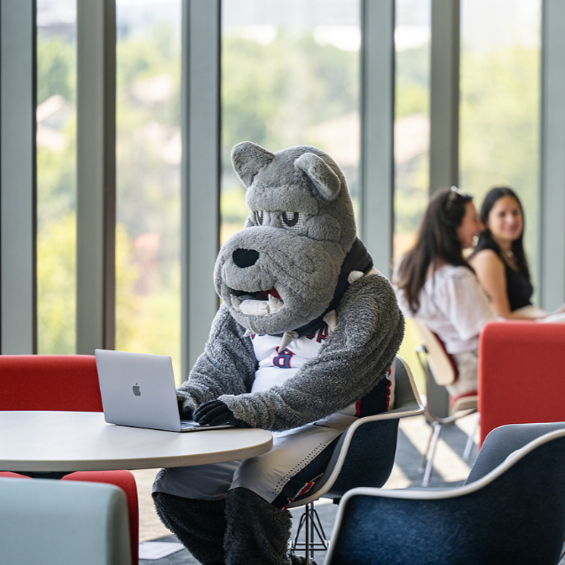 Gonzaga's mascot, Spike the Bulldog, sitting in the Bollier Center at a table working on a laptop. Students in the background chatting.