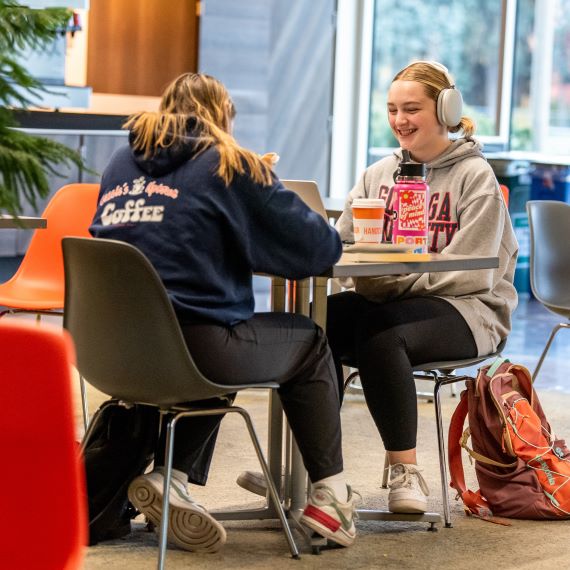 Students studying on laptop in the Hemmingson Center.