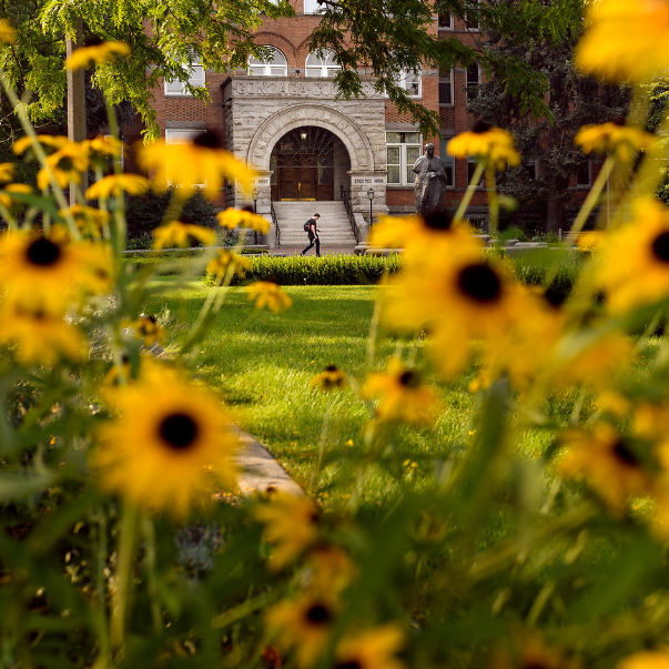 In the foreground are yellow small daisies. In the background is the main entrance to College Hall with a stone facing and large wooden doors. There is a student walking in front of College Hall wearing a black tee shirt.