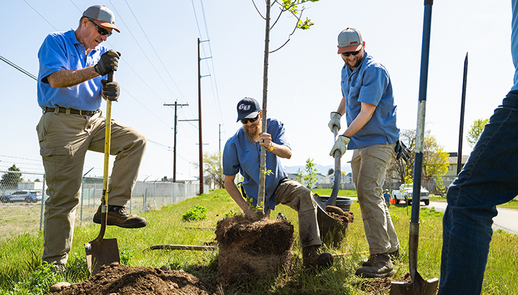 several men in blue uniforms work together to plant a tree