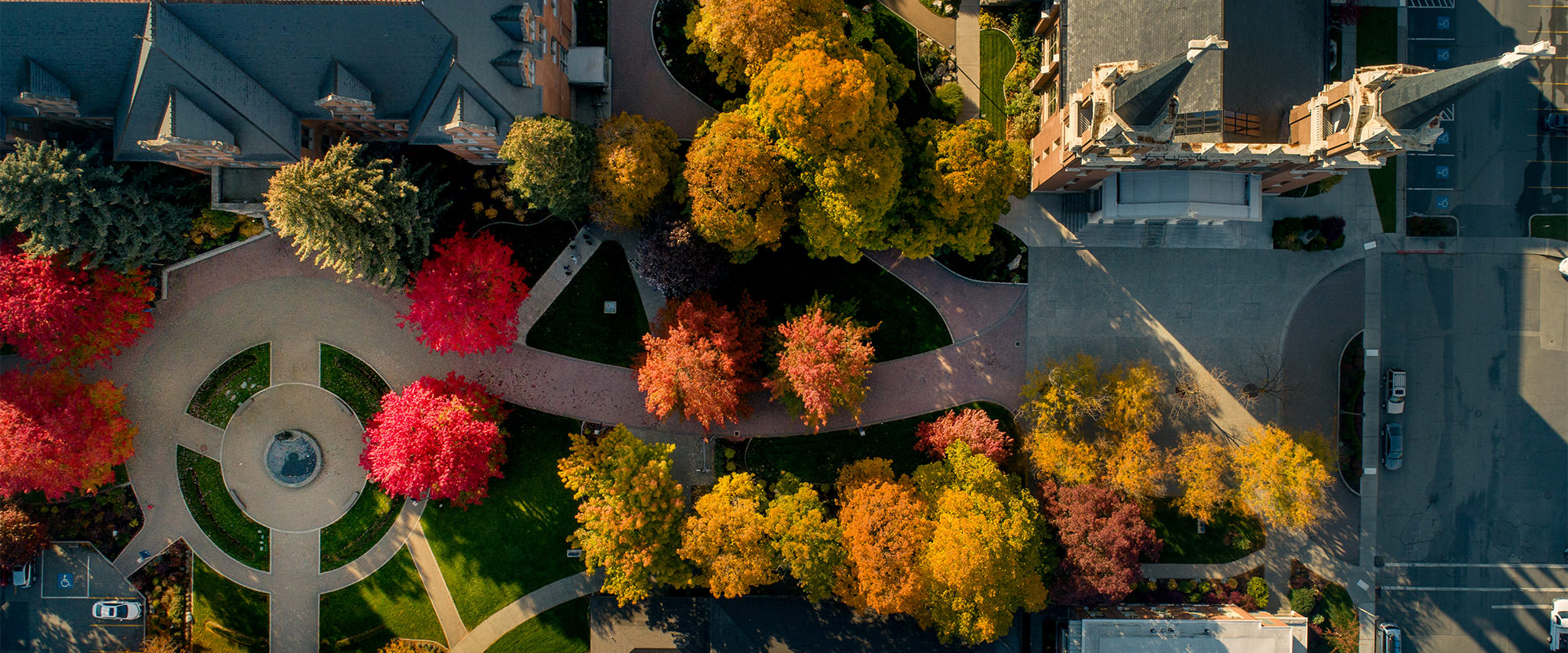 aerial view of fall colors