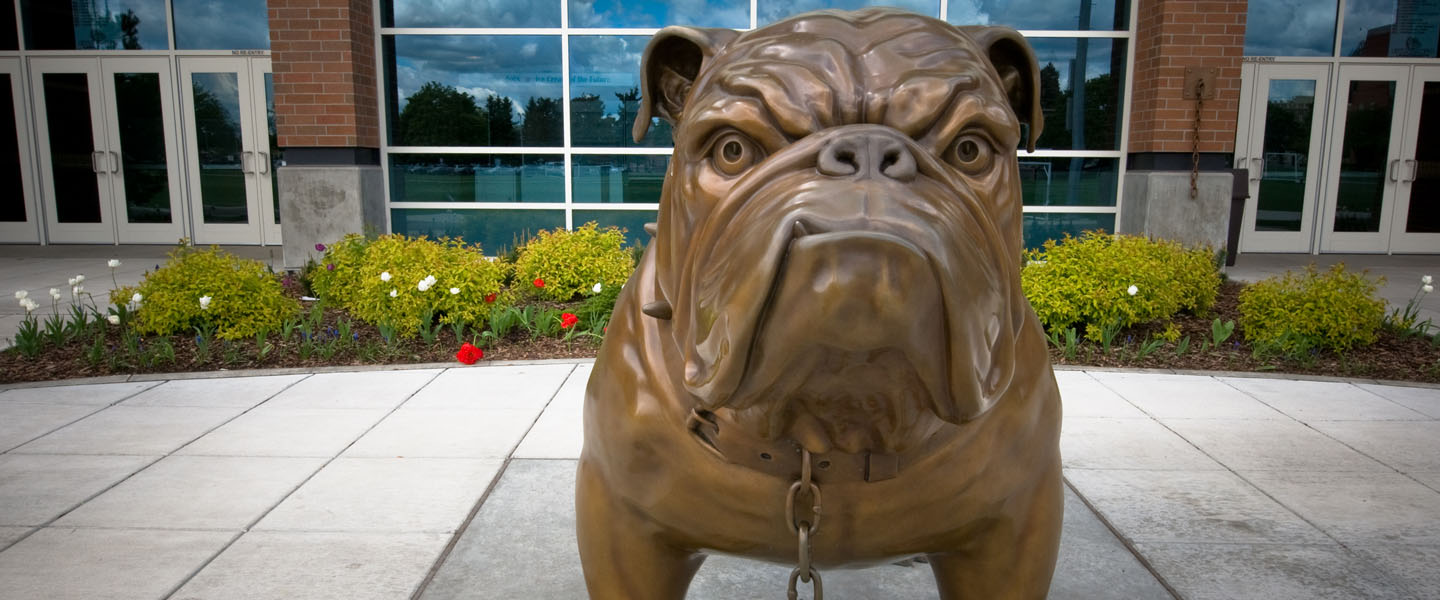 Spike the bulldog statue 