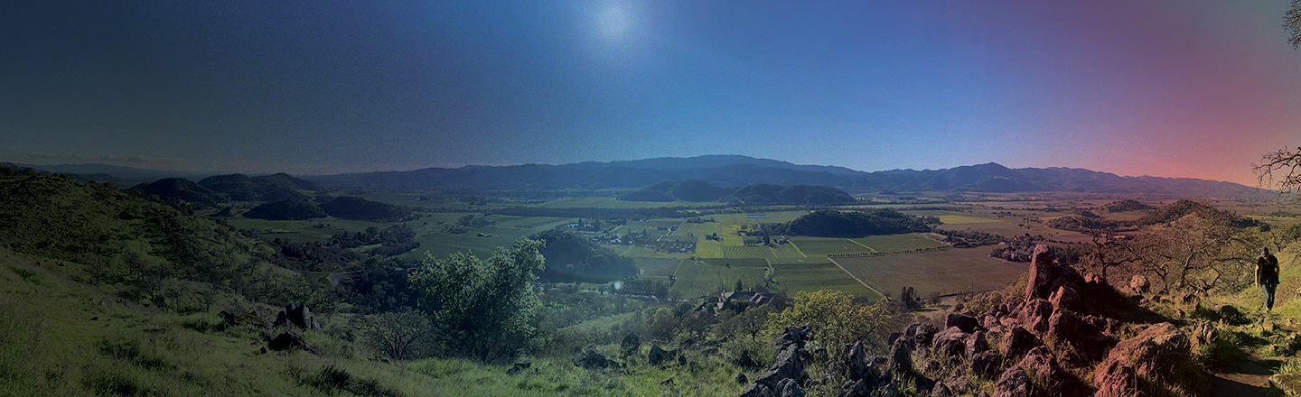 Napa valley overlook california