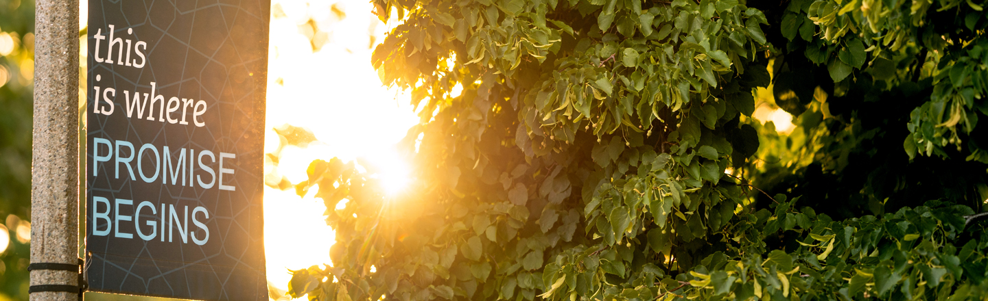 Opportunities and Priorities