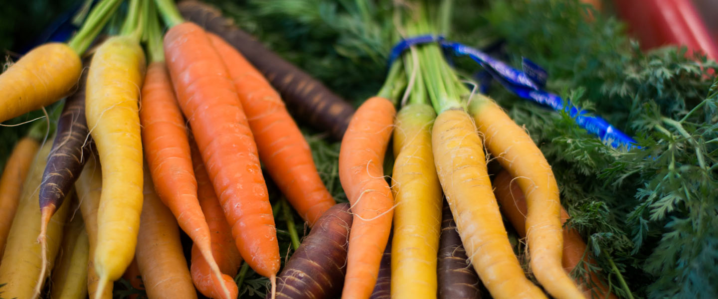 Fresh carrots delivered to dining hall 