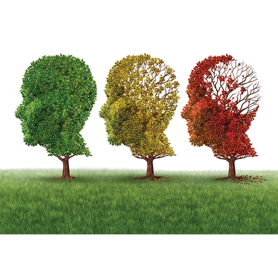 Wissenschaft Beweist Nie Wieder Alzheimer Diese Pflanze Macht Es Möglich - efz4v0k